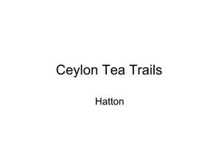 Ceylon Tea Trails  Hatton  