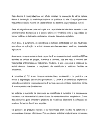 Esta doença é responsável por um efeito negativo na economia de vários países,
devido à diminuição do nível de produção e da qualidade do leite. E o patógeno mais
frequente que causa mastite em vacas leiteiras é a bactéria Staphylococcus aureus.
Esse microrganismo se caracteriza por sua capacidade de selecionar resistência aos
antimicrobianos tradicionais e a alguns fatores de virulência como a capacidade de
formar biofilmes e de invadir e sobreviver o interior das células epiteliais.
Além disso, o surgimento de resistência a múltiplos antibióticos tem sido favorecido
pelo abuso na aplicação de antimicrobianos em diversas áreas: medicina, veterinária,
agricultura.
Atualmente, o número crescente de cepas de S. aureus resistentes à meticilina (MRSA)
isoladas de ambos os grupos, humanos e animais, põe em risco a eficácia dos
tratamentos antimicrobianos tradicionais. Portanto, o uso excessivo e irracional de
antimicrobianos favoreceu o surgimento de resistência a múltiplas famílias de
antibióticos.
A cloxacilina (CLOX) é um derivado antimicrobiano semissintético da penicilina que
resiste à degradação pela enzima penicilinase. O CLOX é um antibiótico amplamente
utilizado na medicina veterinária contra S. aureus e possui atividade bactericida contra
S. aureus produtor de β-lactamase.
No entanto, o aumento da ocorrência de resistência à meticilina e o consequente
insucesso nos tratamentos induzem à busca de novas alternativas terapêuticas. E uma
das alternativas para enfrentar o problema da resistência bacteriana é a utilização de
produtos derivados de extratos vegetais.
No passado, os produtos naturais e os fitoquímicos eram usados no tratamento e
prevenção de doenças infecciosas. Pois, as plantas sintetizam naturalmente compostos
 