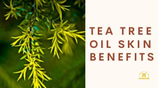 T E A T R E E
O I L S K I N
B E N E F I T S
 