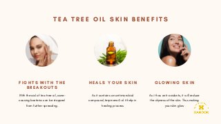 T E A T R E E O I L S K I N B E N E F I T S
F I G H T S W I T H T H E
B R E A K O U T S
H E A L S Y O U R S K I N


G L O W I N G S K I N
With the aid of tea tree oil, acne-
causing bacteria can be stopped
from further spreading.
As it contains an antimicrobial
compound, terpineno4-ol it help in
healing process
As it has anti-oxidants, it will reduce
the dryness of the skin. Thus making
your skin glow
 