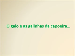 O galo e as galinhas da capoeira…
 