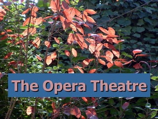 The Opera Theatre 