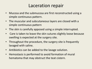 Laceration repair
• Mucosa and the submucosa are first reconstructed using a
simple continuous pattern.
• The muscular and subcutaneous layers are closed with a
simple continuous pattern
• The skin is carefully apposed using a simple interrupted.
• Care is taken to leave the skin sutures slightly loose because
swelling is expected at the surgery site.
• Throughout the procedure, the surgery site is frequently
lavaged with saline.
• Antibiotics can be added to the lavage solution.
• Hemostasis is performed to avoid formation of mural
hematoma that may obstruct the teat cistern.
 