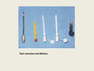 Teat cannulas and dilators.
 