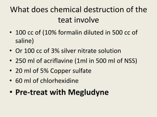 What does chemical destruction of the
teat involve
• 100 cc of (10% formalin diluted in 500 cc of
saline)
• Or 100 cc of 3% silver nitrate solution
• 250 ml of acriflavine (1ml in 500 ml of NSS)
• 20 ml of 5% Copper sulfate
• 60 ml of chlorhexidine
• Pre-treat with Megludyne
 
