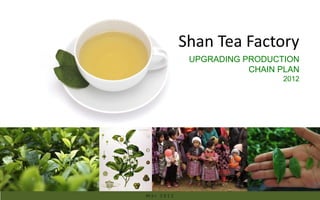 Shan Tea Factory
            UPGRADING PRODUCTION
                       CHAIN PLAN
                             2012




Mar 2012
 