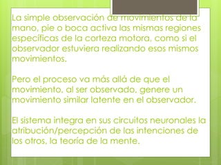 La simple observación de movimientos de la
mano, pie o boca activa las mismas regiones
específicas de la corteza motora, como si el
observador estuviera realizando esos mismos
movimientos.
Pero el proceso va más allá de que el
movimiento, al ser observado, genere un
movimiento similar latente en el observador.
El sistema integra en sus circuitos neuronales la
atribución/percepción de las intenciones de
los otros, la teoría de la mente.

 