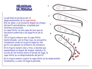 VELOCIDAD DE PERDIDA La pérdida se produce por el desprendimiento de la  capa límite . Ello se debe, a un excesivo ángulo de ataque del perfil aerodinámico, originado por diversas situaciones. La capa límite, es una capa de aire que se encuentra adherida a las superficie de la vela. En la figura número uno, la capa límite materializada  con la línea roja, se encuentra totalmente unida en la parte superior del perfil con apenas un milímetro de distancia. En la figura numero dos y tres, a medida que aumentamos el ángulo de ataque, debido a la acción de los frenos sobre el borde de fuga, la capa límite se va desprendiendo del perfil. En la figura numero cuatro la capa límite se ha desprendido totalmente, y como tal llega la pérdida.  1 2 3 4 
