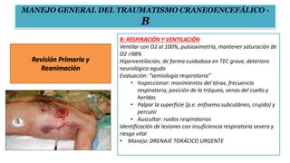 Revisión Primaria y
Reanimación
B: RESPIRACIÓN Y VENTILACIÓN
Ventilar con O2 al 100%, pulsioximetría, mantener saturación de
O2 >98%
Hiperventilación, de forma cuidadosa en TEC grave, deterioro
neurológico agudo
Evaluación: “semiología respiratoria”
• Inspeccionar: movimientos del tórax, frecuencia
respiratoria, posición de la tráquea, venas del cuello y
heridas
• Palpar la superficie (p.e. enfisema subcutáneo, crujido) y
percutir
• Auscultar: ruidos respiratorios
Identificación de lesiones con insuficiencia respiratoria severa y
riesgo vital
• Manejo: DRENAJE TORÁCICO URGENTE
MANEJO GENERAL DEL TRAUMATISMO CRANEOENCEFÁLICO -
B
 