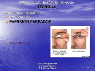 Traumatismos y urgencias oftalmólogicas