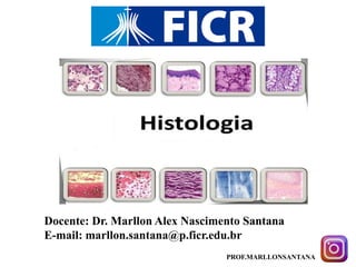 Docente: Dr. Marllon Alex Nascimento Santana
E-mail: marllon.santana@p.ficr.edu.br
PROF.MARLLONSANTANA
 