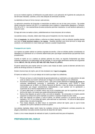 es rico en materia orgánica, la fertilización se puede reducir a una aplicación de 5 g/planta de cualquiera de
las fórmulas indicadas, cuarenta y cinco días después de sembrada la semilla.
La deshierba se hace en forma manual, cada semana.
La aplicación preventiva de fungicidas e insecticidas se realiza una vez al mes como mínimo. Se pueden
utilizar productos cúpricos (40 g/16 1) e insecticidas como malation o metamidofos (Malathion y Tamarón,
25 a 30 cc/16 1). Las características de estos productos permiten mezclarlos, lo cual facilita la aplicación y
reduce el costo.
El riego del vivero se realiza a diario, preferiblemente en horas temprano de la mañana.
Las plantas sanas y robustas, deben estar listas para el trasplante a los tres meses de edad.
Para el trasplante, las plantas débiles y enfermas se deben descartar y sólo se utilizarán aquellas plantas
que tiene el brote terminal maduro o en reposo. Aquellas plantillas cuyo brote terminal no tenga esta
condición, se mantendrán en vivero hasta que maduren y puedan trasplantarse.
Propagación por injerto
Los injertos se pueden realizar en plantas originales de semilla, o bien en árboles adultos consideradas no
deseables en la plantación en un momento determinado pero que tengan características que permitan dicho
procedimiento.
Cuando el injerto se va a realizar en plantas patrones de vivero, es requisito fundamental que éstos
presenten resistencia a la enfermedad mal del machete, lo cual se logra sembrando semilla de la siguientes
clones: IMC-67; PA-132; UF-613; EET-400; EET-399; Pound 12 y SPA-9.
El patrón estará listo para injertar entre los cuatro a seis meses de edad, cuando el diámetro del tallo de la
planta de almácigo alcance un centímetro.
Existen diversos tipos de injerto, pero el más empleado es el tipo U o lengüeta.
El injerto se realiza a 3 ó 4 cm por debajo de la cicatriz que dejan los cotiledones.
 
Primero se hace un corte horizontal de aproximadamente un centímetro y en cada extremo de este
corte se realiza una incisión vertical pero sin llegar a la cicatriz dejada por los cotiledones. 
Se levanta la lengüeta y se inserta la yema. Esta yema puede obtenerse en bancos de yemas de
cultivares debidamente conocidos y certificados, de instituciones como CATIE u otras
recomendadas por el MAG y la Oficina Nacional de Semilla, o bien de árboles de plantaciones
comerciales que tengan características sobresalientes y que cuenten con la aprobación y
supervisión de un técnico especialista en el cultivo. 
La yema debe tener un tamaño menor que el de la lengüeta para que las superficies entren por
encima del injerto, de manera que quede suficientemente ajustado. 
Quince días después se quita la cinta y se corta la lengüeta. Se comprueba si el injerto prendió
raspando la corteza de la yema injertada; es positivo si aparece el tejido de color verde. 
Diez días después se quiebra o corta el patrón, en sentido contrario a la posición de la yema
injertada y 10 ó 15 cm arriba del injerto, para estimular su crecimiento. Al corte se le debe aplicar
pasta a base de cobre (fungicida). 
Tres meses después, se debe inducir el crecimiento vertical del injerto, para lo cual el brote
originado de la yema injertada se amarra al patrón.
Las plantas injertadas deben recibir todos los cuidados mínimos de fertilización combate preventivo de
plagas y deshierbas manuales durante el período de desarrollo del injerto.
Cuatro o cinco meses después de realizado el injerto, la plantita está lista para el trasplante.
PREPARACION DEL SUELO
 