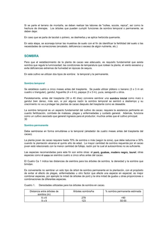 Si se parte el terreno de montaña, se deben realizar las labores de "voltea, socola, repica", así como la
hechura de drenajes. Los árboles que pueden cumplir funciones de sombra temporal o permanente, se
deben dejar.
En caso que se parta de tacotal o potrero, se deshierba y se aplica herbicida quemante.
En esta etapa, se aconseja tomar las muestras de suelo con el fin de identificar la fertilidad del suelo o las
necesidades de correcciones (encalado, deficiencia o exceso de algún nutriente, etc.)
SOMBRA
Para que el establecimiento de la planta de cacao sea adecuado, es requisito fundamental que exista
sombra que regule la luminosidad, las condiciones de temperatura que rodean la planta, el viento excesivo y
evite deficiencias extremas de humedad en épocas de sequía.
En este cultivo se utilizan dos tipos de sombra: la temporal y la permanente.
Sombra temporal
Se establece cuatro a cinco meses antes del trasplante. Se puede utilizar plátano o banano (3 x 3 m en
cuadro o triangular), gandul, higuerilla (4 x 4 m), papaya (3 x 3 m), yuca, saragundí u otros.
Paralelamente, antes del trasplante (30 a 40 días) conviene sembrar una sombra inicial como maíz o
gandul bien denso, más aún, si por alguna razón la sombra temporal se sembró a destiempo y su
crecimiento no va a proteger las plantas de cacao después del trasplante como es deseable.
La sombra temporal es un aspecto fundamental del cultivo de cacao; requiere la asistencia pertinente en
cuanto fertilización, combate de malezas, plagas y enfermedades y cuidado general. Además, funciona
como un cultivo asociado que general ingresos para el productor, muchos antes que el cultivo principal.
30
Sombra permanente
Debe sembrarse en forma simultánea a la temporal (alrededor de cuatro meses antes del trasplante del
cacao).
La planta joven de cacao requiere hasta 70% de sombra o más (según la zona), que debe reducirse a 30%
cuando la plantación alcanza el quinto año de edad. La mayor cantidad de sombra requerida por el cacao
joven está relacionado con la menor cantidad de follaje, razón por la cual el autosombreo no es suficiente.
Las especies recomendadas para este fin son entre otras: el poró, guabas, madero negro, laurel; otras
especies como el coco se siembra cuatro a cinco años antes del cacao.
El Cuatro Ca 1 indica las distancias de siembra para los árboles de sombra, la densidad y la sombra que
brindan.
Es conveniente no sembrar un solo tipo de árbol de sombra permanente en la plantación, con el propósito
de evitar el efecto de plagas, enfermedades u otro factor que afecte una especie en especial; es mejor
combinar especies, por ejemplo la mitad de árboles de poró y la otra mitad de guaba u otras proporciones o
combinaciones de diferentes especies.
Cuadro 1. Densidades utilizadas para los árboles de sombra en cacao.
Distancia entre árboles de
sombra (m)
Árboles sombra/ha % sombra permanente estimada
6 x 6
9 x 9
9 x 12
12 x 12
278
123
93
69
>90
50-55
40-55
30-35
 