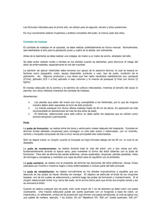 Las fórmulas indicadas para el primer año, se utilizan para el segundo, tercero y años posteriores.
Es muy conveniente realizar muestreos y análisis completos del suelo, al menos cada dos años.
Combate de malezas
El combate de malezas en el cacaotal, se debe realizar preferiblemente en forma manual. Normalmente,
seis deshierbas al año para la plantación joven y cuatro en la adulta, son suficientes.
Antes de la deshierba se debe realizar una rodajea, de medio a un metro de ancho, alrededor del tallo.
Se debe evitar realizar cortes o heridas en los árboles cuando se deshierba, para disminuir el riesgo del
daño de enfermedades, especialmente el mal del machete.
La decisión de aplicar herbicidas debe tomarse con apoyo de la asesoría técnica, la cual se basará en
factores como topografía, costo, equipo disponible, producto a usar, tipo de suelo, condición de la
plantación. etc. Algunos productos y sus dosis que han dado resultados satisfactorios son: paraquat
(21/ha), glifosato (0,8 l i.a./ha) aplicado a bajo volumen y la mezcla de paraquat (2 l/ha) con diuron (2
kg/ha).
El manejo adecuado de la sombra y la siembra de cultivos intercalados, mientras el tamaño del cacao lo
permita, son otros métodos indirectos de combate de malezas.
Advertencias:
 
. Las plantas que salen del vivero son muy susceptibles a los herbicidas, por lo que de ninguna
manera deben estar expuestas al rocío de este producto. 
. La mezcla paraquat con diuron afecta malezas hasta de 40 cm de altura. Su aplicación es más
recomendable en plantaciones de más de dos años de edad. 
. El herbicida, seleccionado para este cultivo no debe dañar las especies que se utilizan como
sombra temporal o permanente.
Poda
La poda de formación: se realiza entre los doce y veinticuatro meses después del trasplante. Consiste en
eliminar brotes laterales (chupones) para conseguir un solo tallo erecto y balanceado, con un molinillo,
verticilo u horqueta compuesto de tres a cinco ramas principales bien balanceadas.
Sólo se dejará crecer un chupón cuando la horqueta se haya formado debajo de los 60 cm, lo cual no es
deseable.
La poda de mantenimiento: se realiza durante toda la vida del árbol, uno a dos veces por año,
fundamentalmente durante la época seca, para mantener la forma del árbol obtenido con la poda de
formación. Para ello se elimina las partes enfermas, ramas quebradas, chupones, plantas parásitas, nidos
de hormigas y comejenes y mantiene una copa de árbol clara en equilibrio con el ambiente.
La poda sanitaria: se realiza con el propósito de eliminar las secciones del árbol enfermas: ramas, frutos
(atacados por monilia o mazorca negra u otras enfermedades) e incluso parte del tallo principal.
La poda de rehabilitación: se realiza normalmente en los árboles improductivos a aquellos que por
descuido en las podas se hacen difíciles de manejar. El objetivo es estimular el brote de los chupones
basales; uno de los cuales se seleccionará y recibirá luego las podas de formación y mantenimiento. Si el
chupón seleccionado brota muy cerca del suelo, se le arrima tierra para que emita sus propias raíces y así
se renovará el árbol.
Cuando se realice cualquier tipo de poda, todo corte mayor de 1 cm de diámetro se debe cubrir con pasta
cicatrizante. Una mezcla adecuada puede ser aceite quemado con un fungicida a base de cobre, un
insecticida y un adherente, unidos de tal proporción que formen una pasta semilíquida, la cual se aplica con
una paleta de madera; ejemplo; 1 kg Cobox, 25 cm
3
Malathion 5%, 550 cm
3
aceite quemado, 330 cm
3
adherente.
 