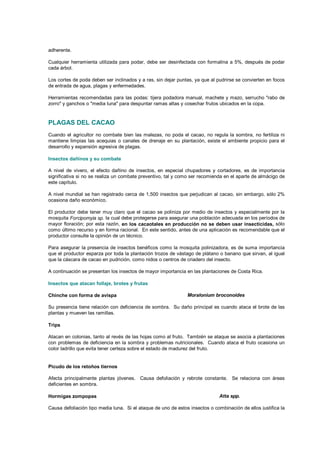 adherente.
Cualquier herramienta utilizada para podar, debe ser desinfectada con formalina a 5%, después de podar
cada árbol.
Los cortes de poda deben ser inclinados y a ras, sin dejar puntas, ya que al pudrirse se convierten en focos
de entrada de agua, plagas y enfermedades.
Herramientas recomendadas para las podas: tijera podadora manual, machete y mazo, serrucho "rabo de
zorro" y ganchos o "media luna" para despuntar ramas altas y cosechar frutos ubicados en la copa.
PLAGAS DEL CACAO
Cuando el agricultor no combate bien las malezas, no poda el cacao, no regula la sombra, no fertiliza ni
mantiene limpias las acequias o canales de drenaje en su plantación, existe el ambiente propicio para el
desarrollo y expansión agresiva de plagas.
Insectos dañinos y su combate
A nivel de vivero, el efecto dañino de insectos, en especial chupadores y cortadores, es de importancia
significativa si no se realiza un combate preventivo, tal y como ser recomienda en el aparte de almácigo de
este capítulo.
A nivel mundial se han registrado cerca de 1,500 insectos que perjudican al cacao, sin embargo, sólo 2%
ocasiona daño económico.
El productor debe tener muy claro que el cacao se poliniza por medio de insectos y especialmente por la
mosquita Forcipomyia sp. la cual debe protegerse para asegurar una población adecuada en los períodos de
mayor floración; por esta razón, en los cacaotales en producción no se deben usar insecticidas, sólo
como último recurso y en forma racional. En este sentido, antes de una aplicación es recomendable que el
productor consulte la opinión de un técnico.
Para asegurar la presencia de insectos benéficos como la mosquita polinizadora, es de suma importancia
que el productor esparza por toda la plantación trozos de vástago de plátano o banano que sirvan, al igual
que la cáscara de cacao en pudrición, como nidos o centros de criadero del insecto.
A continuación se presentan los insectos de mayor importancia en las plantaciones de Costa Rica.
Insectos que atacan follaje, brotes y frutas
Chinche con forma de avispa Moralonium broconoides
Su presencia tiene relación con deficiencia de sombra. Su daño principal es cuando ataca el brote de las
plantas y mueven las ramillas.
Trips
Atacan en colonias, tanto al revés de las hojas como al fruto. También se ataque se asocia a plantaciones
con problemas de deficiencia en la sombra y problemas nutricionales. Cuando ataca el fruto ocasiona un
color ladrillo que evita tener certeza sobre el estado de madurez del fruto.
Picudo de los retoños tiernos
Afecta principalmente plantas jóvenes. Causa defoliación y rebrote constante. Se relaciona con áreas
deficientes en sombra.
Hormigas zompopas Atta spp.
Causa defoliación tipo media luna. Si el ataque de uno de estos insectos o combinación de ellos justifica la
aplicación de productos químicos, se recomienda el uso de cualquiera de los siguientes productos,
endosulfan (Thiodan 1-1,5 l/ha); diazinon (Diazinon 400 g i.a/ha), metamidofos (Tamaron), malathion
(Malathion 5%).
 