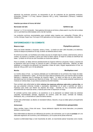 aplicación de productos químicos, se recomienda el uso de cualquiera de los siguientes productos,
endosulfan (Thiodan 1-1,5 l/ha); diazinon (Diazinon 400 g i.a/ha), metamidofos (Tamaron), malathion
(Malathion 5%).
Insectos que atacan el tronco del árbol
Barrenador del tallo Xyleborus spp.
Alcanza 1 a 1,5 mm de tamaño. Hace galerías diminutas en el tronco y libera aserrín muy fino de la corteza
con lo cual disemina enfermedades como mal del machete.
Los productos químicos recomendados para combatir estos insectos son: endosulfan (Thiodan 450 g
i.a./ha), Zompex, Super Isca, Formuquín 0,45 (aplicados en el hormiguero), sevin, mefosfolan, clorpirifos.
ENFERMEDADES Y SU COMBATE
Mazorca negra Phytophthora palmivora
Ataca los brotes laterales o chupones, ramas y frutos. La lesión es color café chocolate y es extensiva;
cuando el ataque se presenta en la hoja, la lesión se extiende sobre la vena.
El síntoma en el tallo, se manifiesta como betas oscuras en el tejido bajo la corteza; externamente, sobre la
corteza, se produce un exudado o goma que indica la lesión interna; al raspar la corteza se identifican las
betas. La lesión en el fruto es color chocolate con borde bien definido.
Para el combate, se deben eliminar periódicamente los órganos enfermos (chupones, frutas) y sacarlos de
la plantación para que el hongo no colonice el suelo y provoque nuevas infecciones. Además, se debe
establecer un programa de aplicación de fungicidas a base de cobre, dirigido especialmente al fruto, en
dosis de 120 g p.c/201 con 2 ml de adherente.
Monilia Moniliophtora roreri
La monilia ataca el fruto. La mazorca afectada por la enfermedad en los primeros tres meses de edad,
presenta un abultamiento o "giba". En frutos de mayor edad se presenta como una mancha café sin bordes
definidos o regulares (que la distingue de mazorca negra). La lesión se llena de un polvo blanco y
abundante que son los esporas que disemina el hongo. Así mismo, el fruto puede presentar apariencia de
madurez en ciertas áreas, lo que indica la presencia de enfermedades.
Para combatir esta enfermedad se deben eliminar las mazorcas enfermas cada ocho o quince días, ya
sea que presenten síntomas iniciales o avanzados, depositarlas en el suelo y cubrirlas con tierra u
hojarasca para evitar que liberen las esporas del hongo. También es muy conveniente cosechar
semanalmente las mazorcas sanas y maduras para evitar la exposición al hongo.
El combate químico tiene sentido y es económico si en la plantación se realizan todas las prácticas
culturales recomendadas (drenaje, regulación de sombrío, poda del cacao, combate de malezas,
fertilización, etc), y únicamente en casos de daños severos.
Contra esta enfermedad, es efectivo el clorotalonil (Bravo, Daconil), el que se debe aplicar principalmente
en el fruto.
Antracnosis Collethotrichum gloesporioides
Ataca ramillas, hojas y frutos del cacao. Causa defoliación dejando las ramas desnudas y se presenta
también a nivel de vivero.
Esta enfermedad se relaciona con deficiencia de sombra y de nutrimentos, por lo cual se combate con una
adecuada regulación de la sombra y de la fertilización y con la poda de las partes enfermas.
Cuando la enfermedad llega a nivel importantes de daño, se recomienda aplicar fungicidas como maneb,
mancozeb y en ataques severos una mezcla de mancozeb con benomil, con un insecticida como
endosulfan.
 