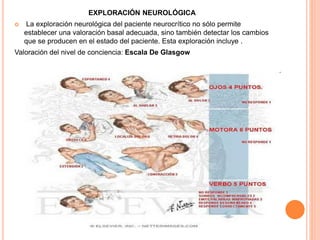 EXPLORACIÓN NEUROLÓGICA
 La exploración neurológica del paciente neurocrítico no sólo permite
establecer una valoración basal adecuada, sino también detectar los cambios
que se producen en el estado del paciente. Esta exploración incluye .
Valoración del nivel de conciencia: Escala De Glasgow
 