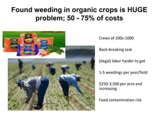 Found weeding in organic crops is HUGE
      problem; 50 - 75% of costs

                        Crews of 100s-1000

                        Back-breaking task

                        (Ilegal) labor harder to get

                        1-5 weedings per year/field

                        $250-3,500 per acre and
                        increasing

                        Food contamination risk
 