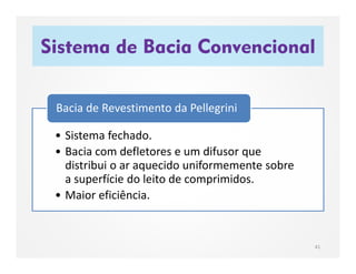 Sistema de Bacia Convencional
41
• Sistema fechado.
• Bacia com defletores e um difusor que
distribui o ar aquecido uniformemente sobre
a superfície do leito de comprimidos.
• Maior eficiência.
Bacia de Revestimento da Pellegrini
 