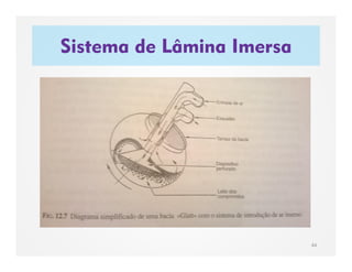 Sistema de Lâmina Imersa
44
 