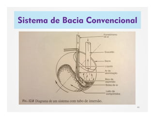 Sistema de Bacia Convencional
46
 