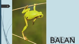 BALAN
5
 