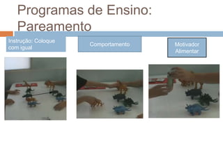 Programas de Ensino:
Pareamento
Instrução: Coloque
com igual
Comportamento Motivador
Alimentar
 