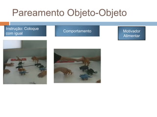 Pareamento Objeto-Objeto
Instrução: Coloque
com igual
Comportamento Motivador
Alimentar
 