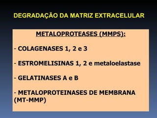 METALOPROTEASES (MMPS): COLAGENASES 1, 2 e 3 ESTROMELISINAS 1, 2 e metaloelastase GELATINASES A e B METALOPROTEINASES DE MEMBRANA  (MT-MMP) DEGRADAÇÃO DA MATRIZ EXTRACELULAR 