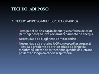 TECIDO ADIPOSO TECIDO ADIPOSO MULTILOCULAR (PARDO) Tem papel de dissipação de energia na forma de calor (termogenese) ao invés de armazenamento de energia Necessidade de biogênese de mitocondria Necessidade da proteína UCP-1 ( uncoupling protein 1)  –dissipa o gradiente de proton criado ao longo da membrana interna da mitocondria quando os eletrons passam ao longo da cadeia respiratória 