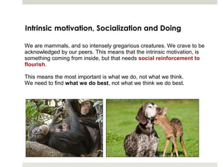 Intrinsic motivation, Socialization and Doing

We are mammals, and so intensely gregarious creatures. We crave to be
acknowledged by our peers. This means that the intrinsic motivation, is
something coming from inside, but that needs social reinforcement to
flourish.

This means the most important is what we do, not what we think.
We need to find what we do best, not what we think we do best.
 