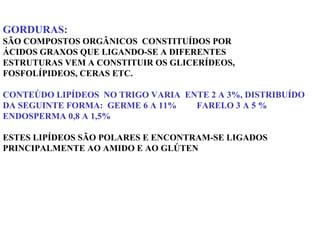 GORDURAS:
SÃO COMPOSTOS ORGÂNICOS CONSTITUÍDOS POR
ÁCIDOS GRAXOS QUE LIGANDO-SE A DIFERENTES
ESTRUTURAS VEM A CONSTITUIR OS GLICERÍDEOS,
FOSFOLÍPIDEOS, CERAS ETC.
CONTEÚDO LIPÍDEOS NO TRIGO VARIA ENTE 2 A 3%, DISTRIBUÍDO
DA SEGUINTE FORMA: GERME 6 A 11% FARELO 3 A 5 %
ENDOSPERMA 0,8 A 1,5%
ESTES LIPÍDEOS SÃO POLARES E ENCONTRAM-SE LIGADOS
PRINCIPALMENTE AO AMIDO E AO GLÚTEN
 