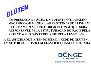 EM PRESENÇA DE ÁGUA E MEDIANTE O TRABALHO
MECÂNICO OU MANUAL, AS PROTEÍNAS SE ALINHAM
E FORMAM UMA REDE TRIDIMENSIONAL QUE SERÁ
RESPONSÁVEL PELA ESTRUTURAÇÃO DO PÃO E PELA
RETENÇÃO DO GÁS PRODUZIDO PELA LEVEDURA.
A ELASTICIDADE É A TENDÊNCIA DA REDE DE GLÚTEN
EM SE PORTAR COMO UM ELÁSTIC0, QUANDO ESTICADA
 