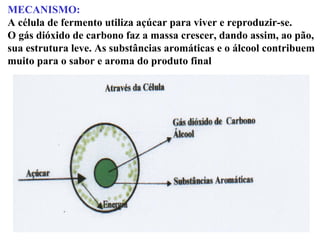 MECANISMO:
A célula de fermento utiliza açúcar para viver e reproduzir-se.
O gás dióxido de carbono faz a massa crescer, dando assim, ao pão,
sua estrutura leve. As substâncias aromáticas e o álcool contribuem
muito para o sabor e aroma do produto final
 