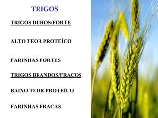 TRIGOS
TRIGOS DUROS/FORTE
ALTO TEOR PROTEÍCO
FARINHAS FORTES
TRIGOS BRANDOS/FRACOS
BAIXO TEOR PROTEÍCO
FARINHAS FRACAS
 
