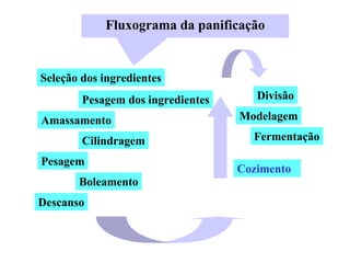 Fluxograma da panificação
Seleção dos ingredientes
Pesagem dos ingredientes
Amassamento
Cilindragem
Pesagem
Boleamento
Divisão
Modelagem
Fermentação
Cozimento
Descanso
 