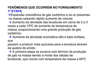 FENÔMENOS QUE OCORREM NO FORNEAMENTO
1ª ETAPA
Expansão volumétrica do gás carbônico e do ar presentes
na massa caisando rápido aumento de volume.
Aumento da atividade das leveduras em cerca de 2 a 3
vezes a cada 10ºC de aumento da temperatura da
massa, proporcionando uma grande produção de gás
carbônico.
Aumento da atividade enzimática alfa e beta amilase,
que
passam a produzir mais açúcares para a levedura através
da quebra de amido.
A primeira etapa se encerra com término da produção
de gás na massa devido a morte das células de
leveduras, que ocorre com temperatura da massa a 60ºC
 