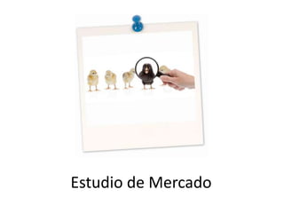 Estudio de Mercado