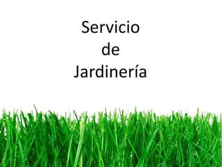 Servicio de Jardinería
