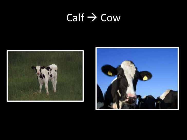 Do you know which ones will grow 