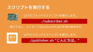 ץȤgФ
?¤ΥޥɤǥץȤgФޤ
./subscriber.sh
EC2
?¤ΥޥɤǥץȤgФޤ
./publisher.sh ˤϡ
?gФȡå`publishΤʼޤ
 