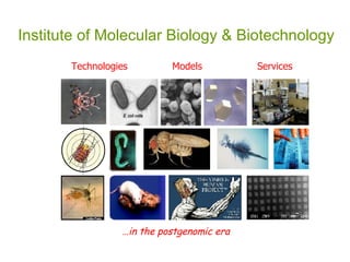 Institute of Molecular Biology & Biotechnology Technologies Models Services … in the postgenomic era 