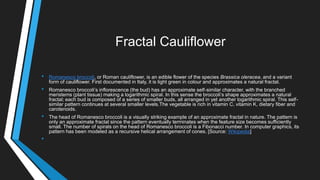 Fractal Cauliflower
• Romanesco broccoli, or Roman cauliflower, is an edible flower of the species Brassica oleracea, and a variant
form of cauliflower. First documented in Italy, it is light green in colour and approximates a natural fractal.
• Romanesco broccoli‘s inflorescence (the bud) has an approximate self-similar character, with the branched
meristems (plant tissue) making a logarithmic spiral. In this sense the broccoli‘s shape approximates a natural
fractal; each bud is composed of a series of smaller buds, all arranged in yet another logarithmic spiral. This self-
similar pattern continues at several smaller levels.The vegetable is rich in vitamin C, vitamin K, dietary fiber and
carotenoids.
• The head of Romanesco broccoli is a visually striking example of an approximate fractal in nature. The pattern is
only an approximate fractal since the pattern eventually terminates when the feature size becomes sufficiently
small. The number of spirals on the head of Romanesco broccoli is a Fibonacci number. In computer graphics, its
pattern has been modeled as a recursive helical arrangement of cones. [Source: Wikipedia]
•
 