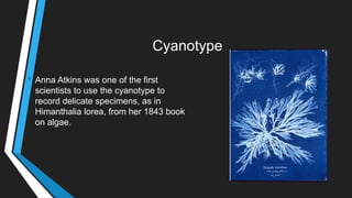Cyanotype
• Anna Atkins was one of the first
scientists to use the cyanotype to
record delicate specimens, as in
Himanthalia lorea, from her 1843 book
on algae.
 