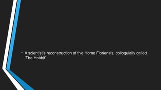 • A scientist‘s reconstruction of the Homo Floriensis, colloquially called
‗The Hobbit‘
 