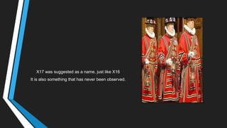 X17 was suggested as a name, just like X16
It is also something that has never been observed.
 