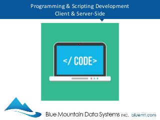 Programming & Scripting Development
Client & Server-Side
CODING: Dojo Highlights the Top 9 Programming Languages of 2017. ...