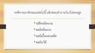 จงพิจารณาลักษณะต่อไปนี้แล้วตอบคาถามใน Group
•เปลือกมีหนาม
•ผลมีกลิ่นแรง
•ผลมีเนื้อและเมล็ด
•ผลกินได้
 