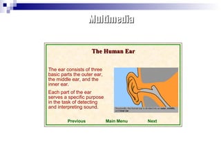 The ear consists of three basic parts the outer ear, the middle ear, and the inner ear. Each part of the ear serves a specific purpose in the task of detecting and interpreting sound. The Human Ear Next Previous Main Menu Multimedia 