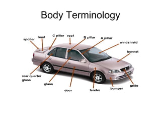 Body Terminology 